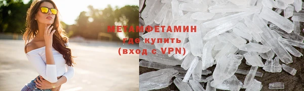 прущие грибы Тобольск