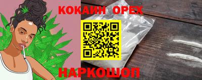 jwh Новозыбков