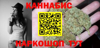 индика Обнинск