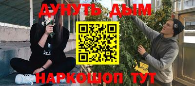 стаф Новокубанск