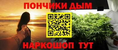 сатива Новодвинск