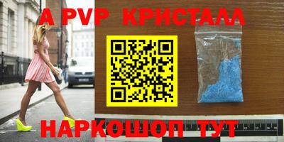 стаф Новокубанск