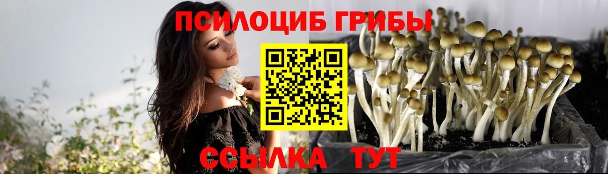 Псилоцибиновые грибы Magic Shrooms  сколько стоит  Старый Оскол  Вход с VPN 